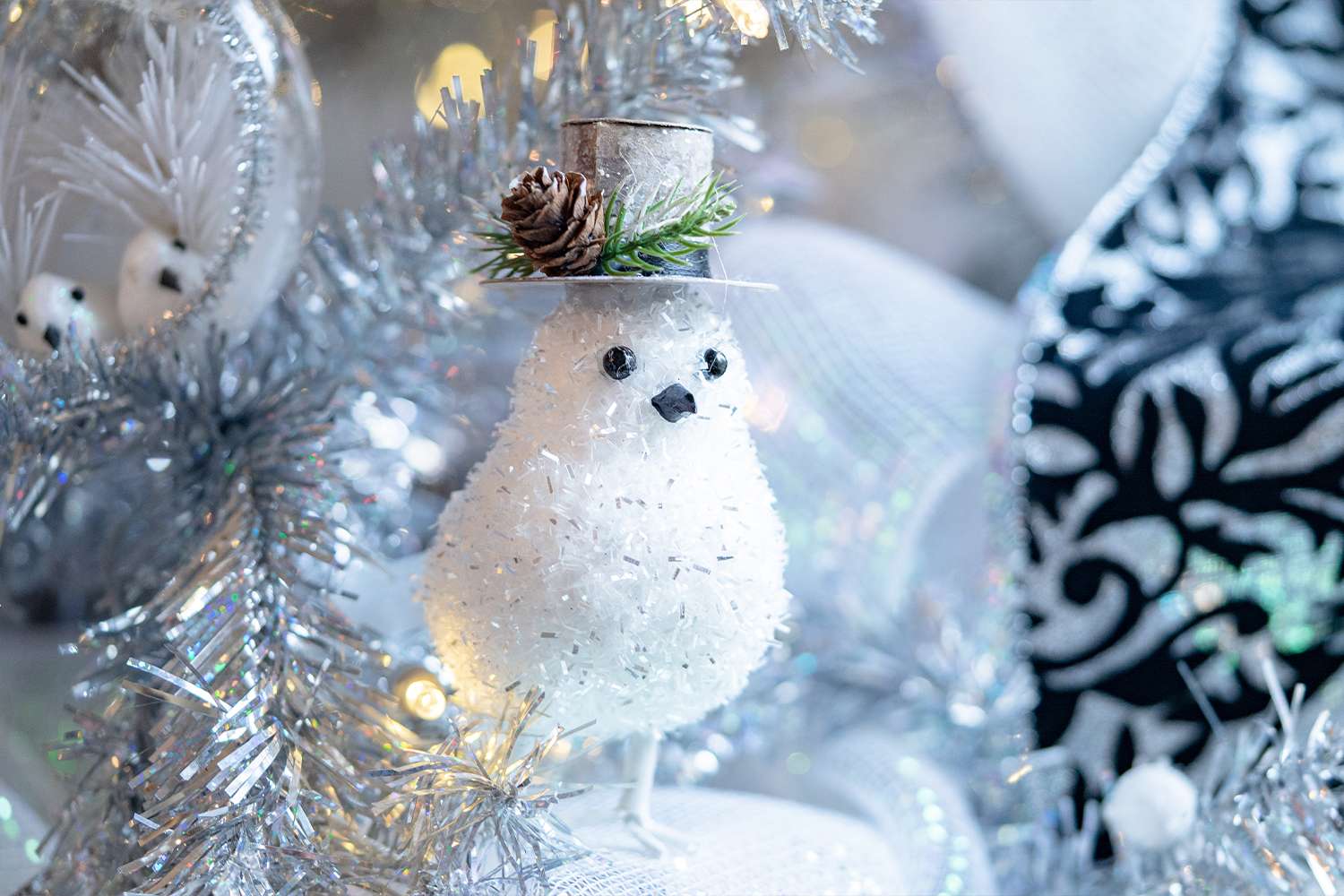 Boughter Christmas photo