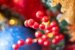 Boughter Christmas photo