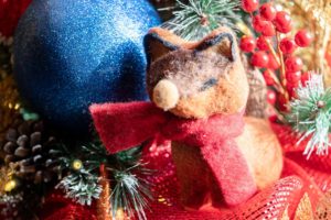 Boughter Christmas photo