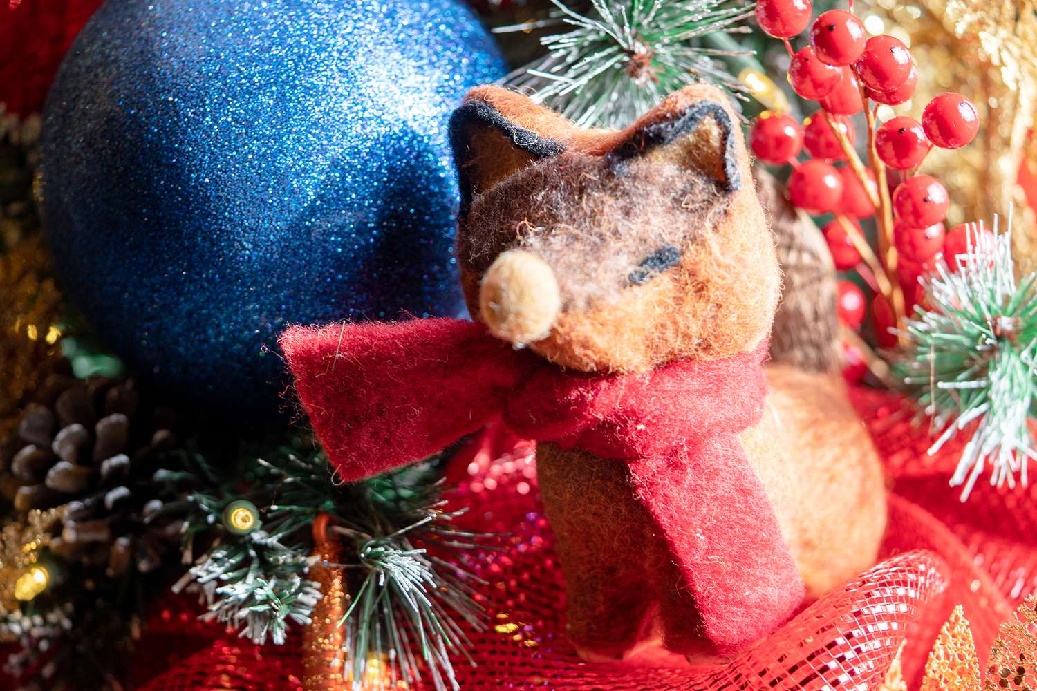 Boughter Christmas photo