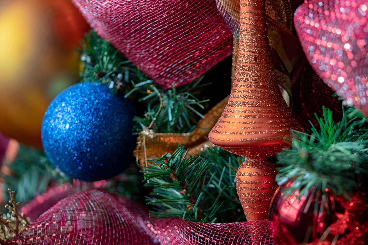 Boughter Christmas photo