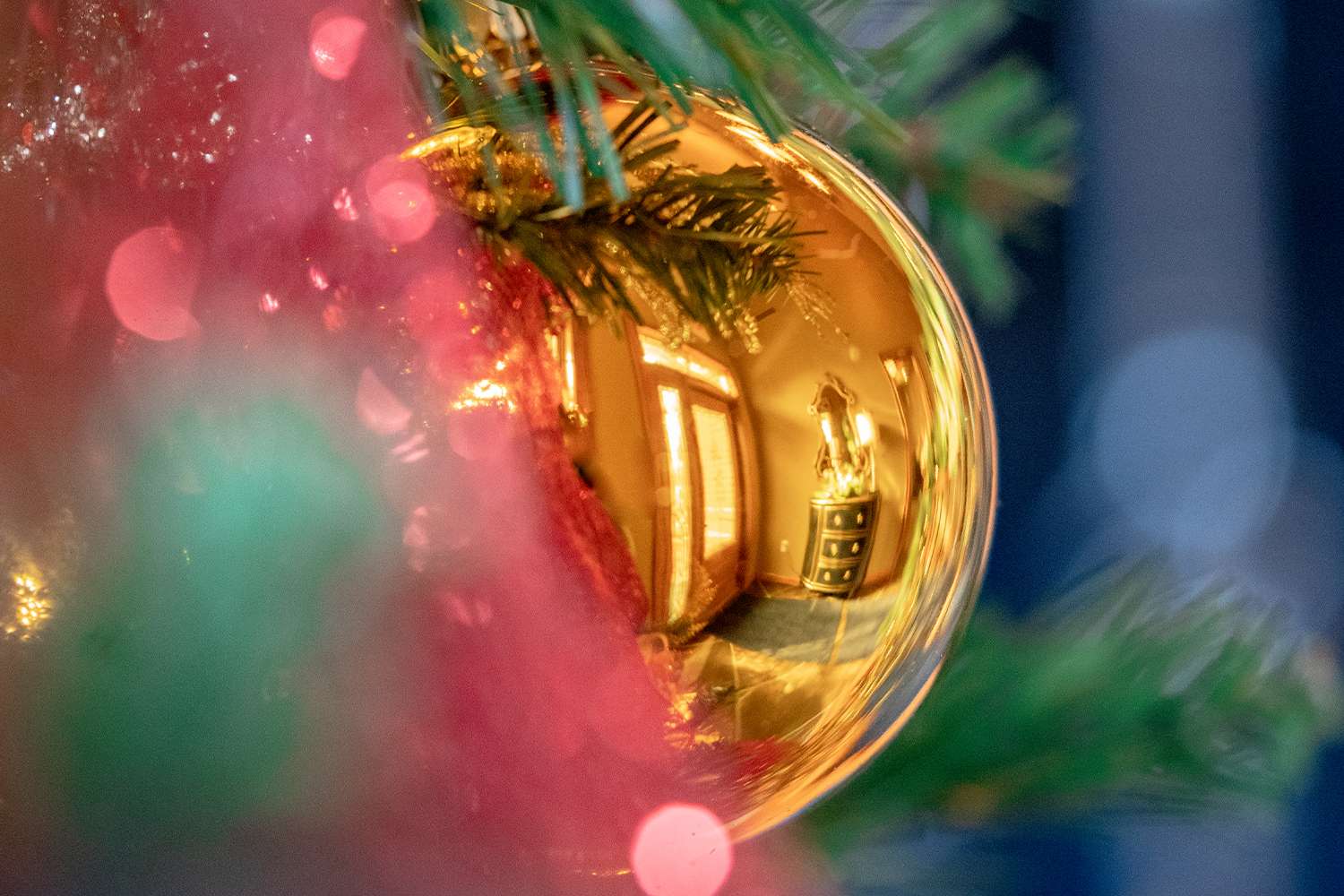Boughter Christmas photo