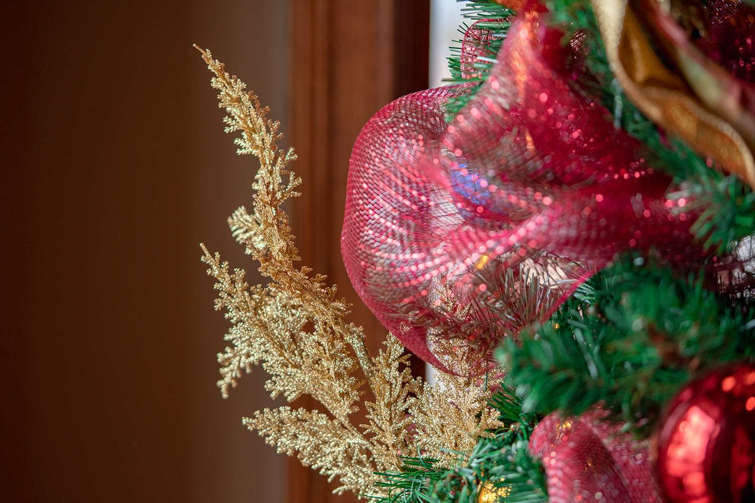 Boughter Christmas photo