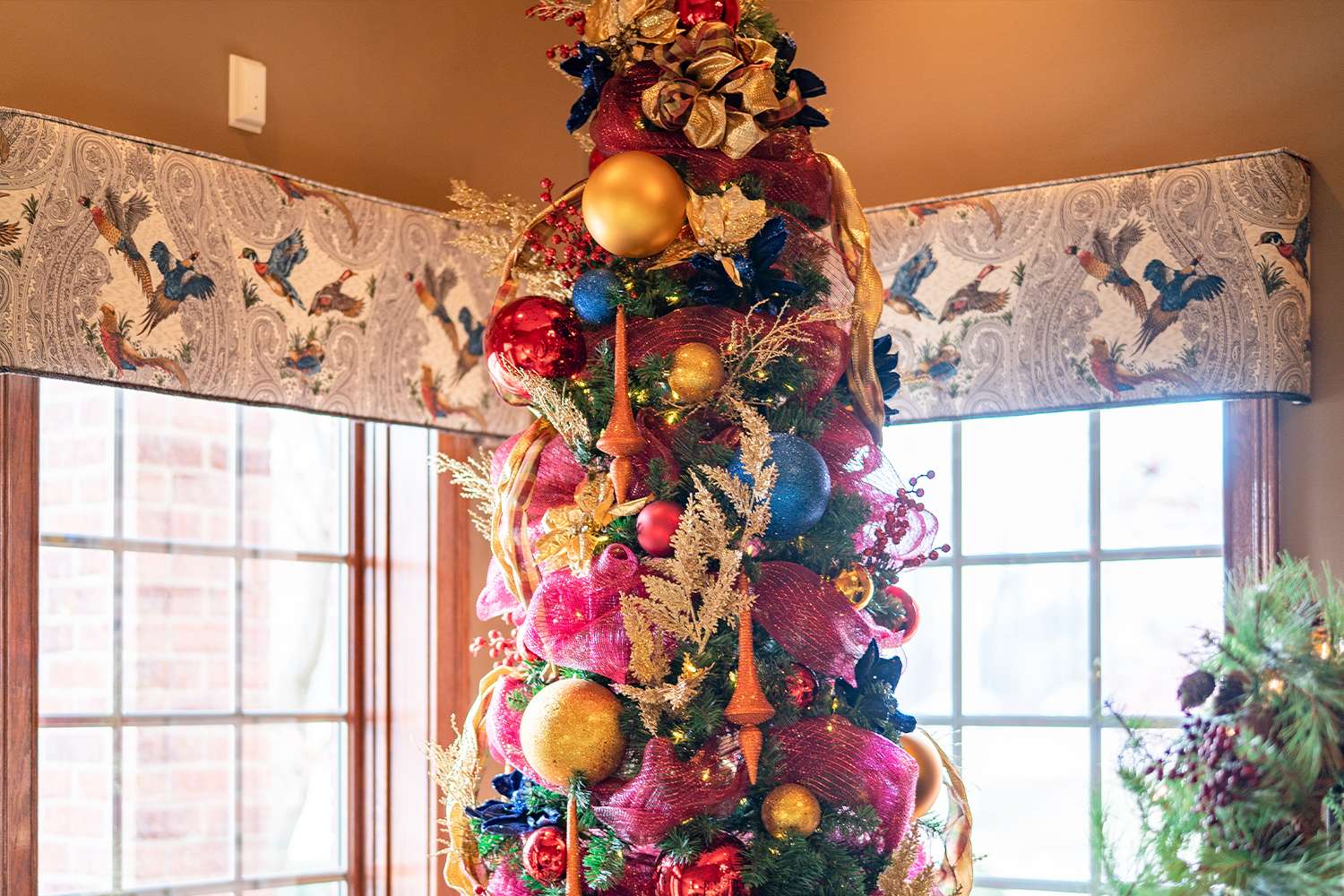 Boughter Christmas photo