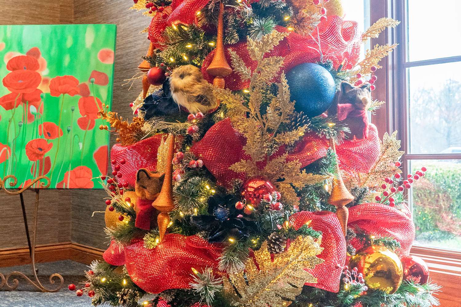 Boughter Christmas photo