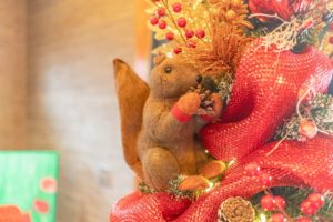 Boughter Christmas photo