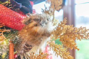 Boughter Christmas photo
