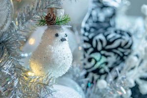 Boughter Christmas photo